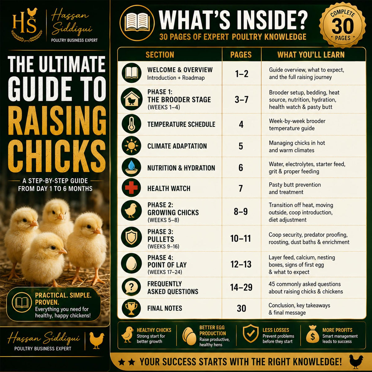 Raising Baby Chicks Guide | 1-Day to 6-Months, pdf