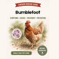 Bumblefoot Treatment Guide Printable PDF | Chicken Foot Infection Symptoms & Care Chart