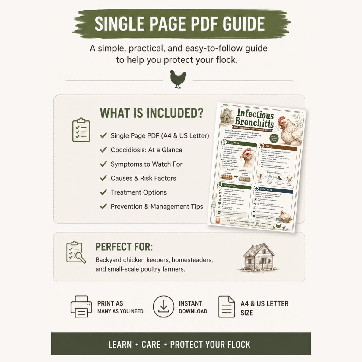 Chicken Mites And Lice Guide Printable PDF | Poultry Parasites Symptoms & Treatment Chart