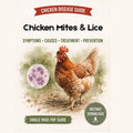Chicken Mites And Lice Guide Printable PDF | Poultry Parasites Symptoms & Treatment Chart