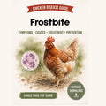 Chicken Frostbite Guide Printable PDF | Symptoms, Treatment & Winter Care Chart