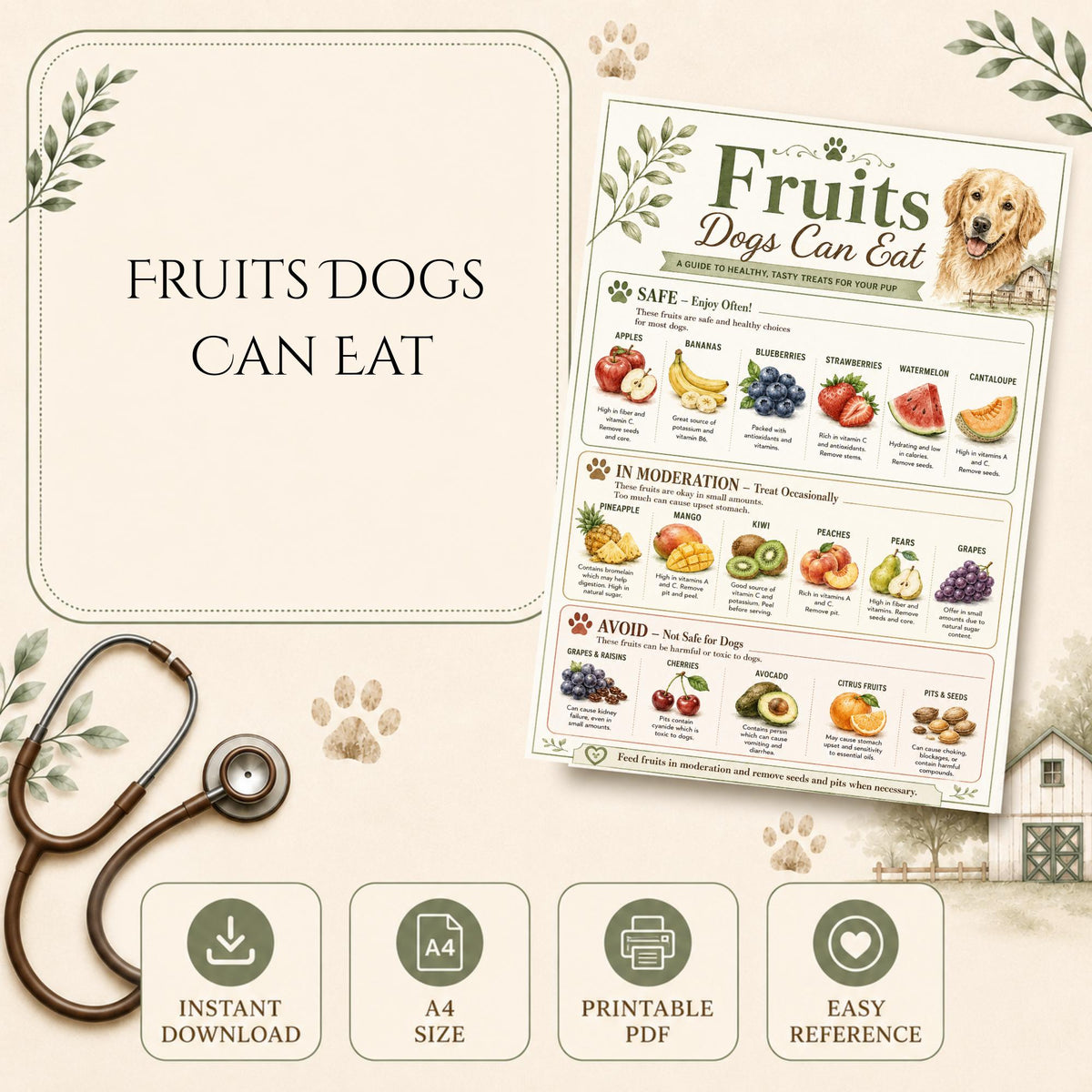 What Dogs Can Eat Charts, Toxic Foods List, Dog Diet Chart, Healthy Feeding Guide for Dogs, Printable PDF