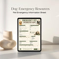 Pet Emergency Vet Information Sheet | Dog Cat Medical Record (A4 PDF)