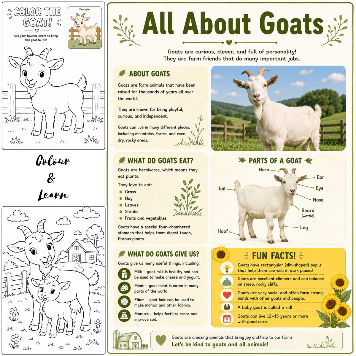 Farm Animals Coloring Book | Kids Learning Activity PDF (Ages 3-8)
