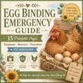 Egg Binding Emergency Guide | Chicken Symptoms, Recovery Care, Poultry First Aid (PDF Download)