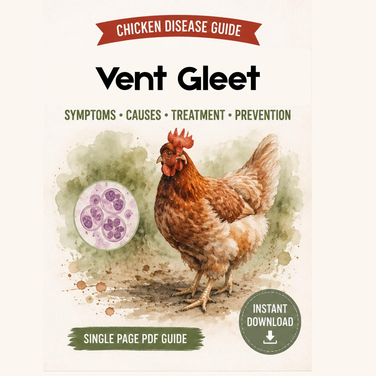 Vent Gleet Guide Printable PDF | Chicken Symptoms, Treatment & Prevention Chart