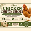 Chicken Symptom Checker Printable PDF | Identify 15 Common Poultry Diseases | Backyard Chicken Health Chart