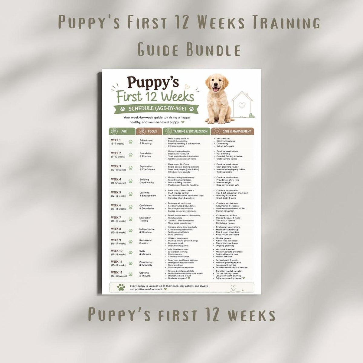 New Puppy Guide, 12-Week Training Plan - Printable PDF, Potty Leash Socialization Checklist | Digital