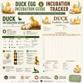Duck Incubation Guide & Tracker Printable PDF | Poultry Record Keeper