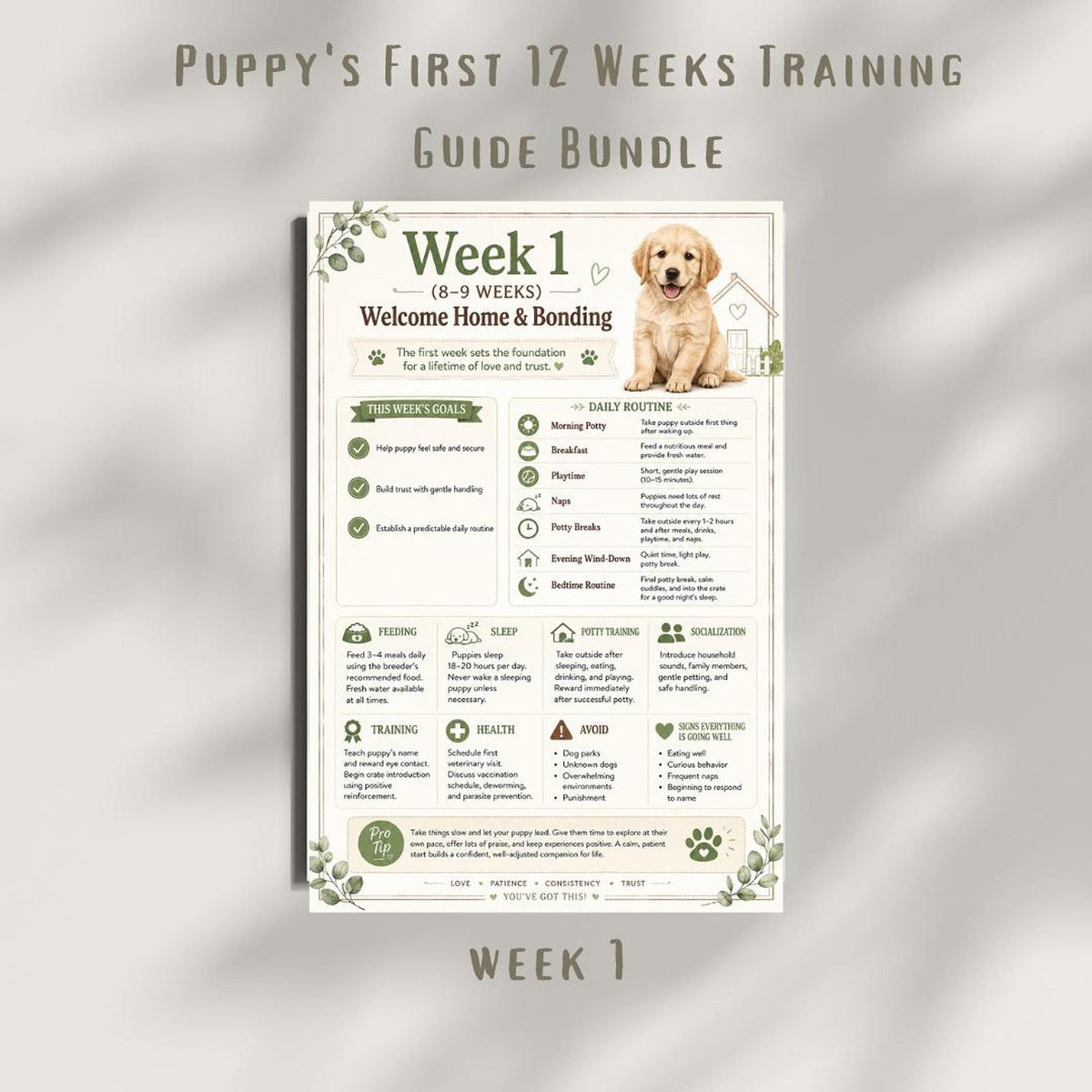 New Puppy Guide, 12-Week Training Plan - Printable PDF, Potty Leash Socialization Checklist | Digital