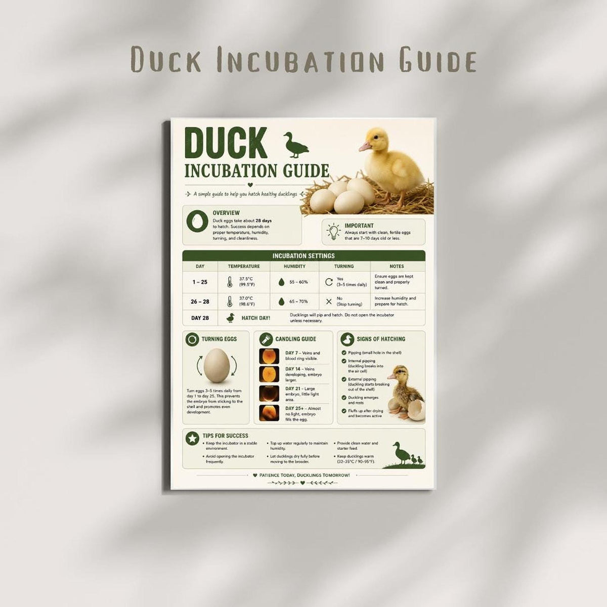 Duck Incubation Guide & Tracker Printable PDF | Poultry Record Keeper