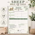 Sheep Bill of Sale Contract, Livestock Transaction Agreement (A4 Printable PDF)