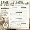 Lamb Bill of Sales | Sheep Contract (PDF)