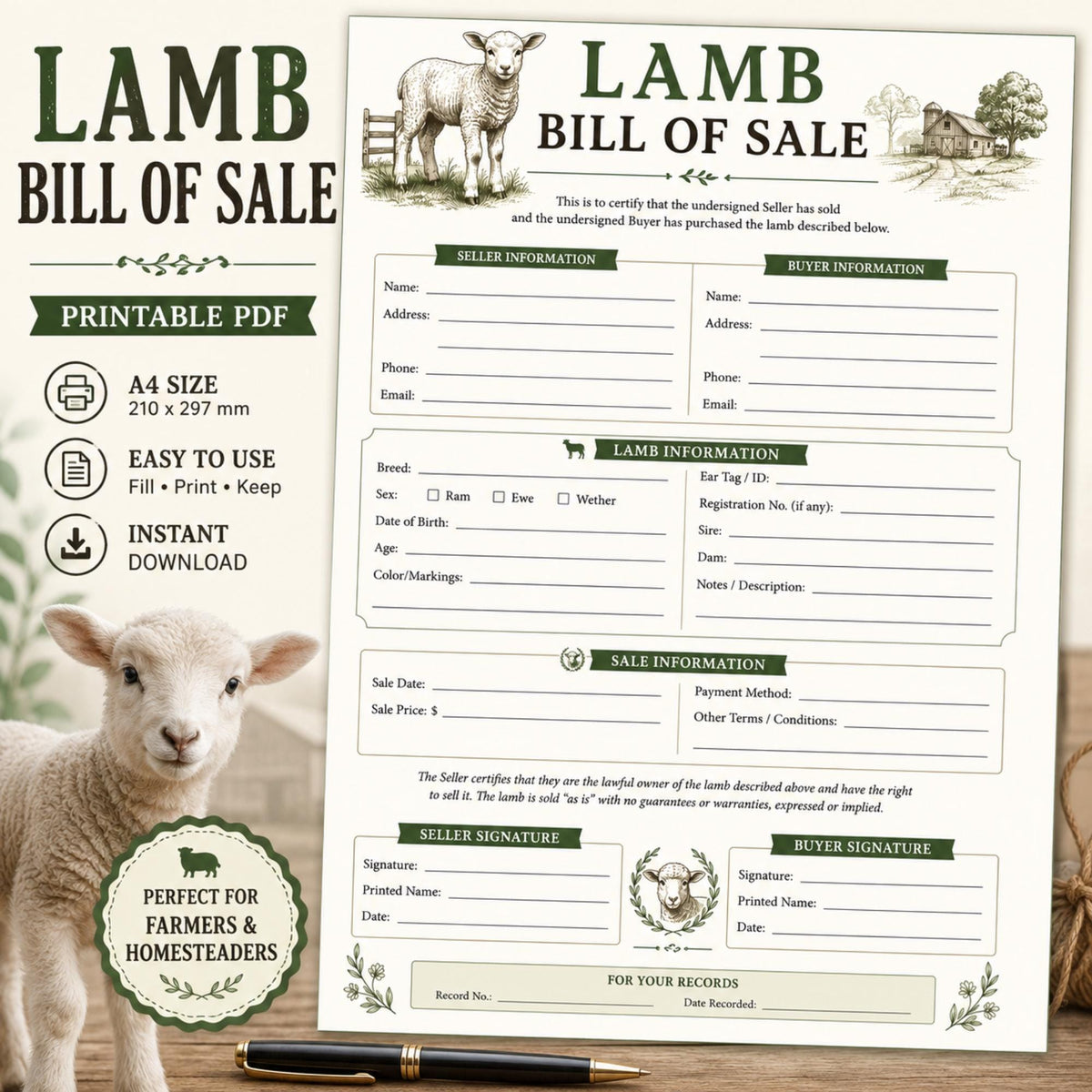 Lamb Bill of Sales | Sheep Contract (PDF)