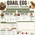 Quail Incubation Guide And Tracker, A4 Printable PDF Bundle