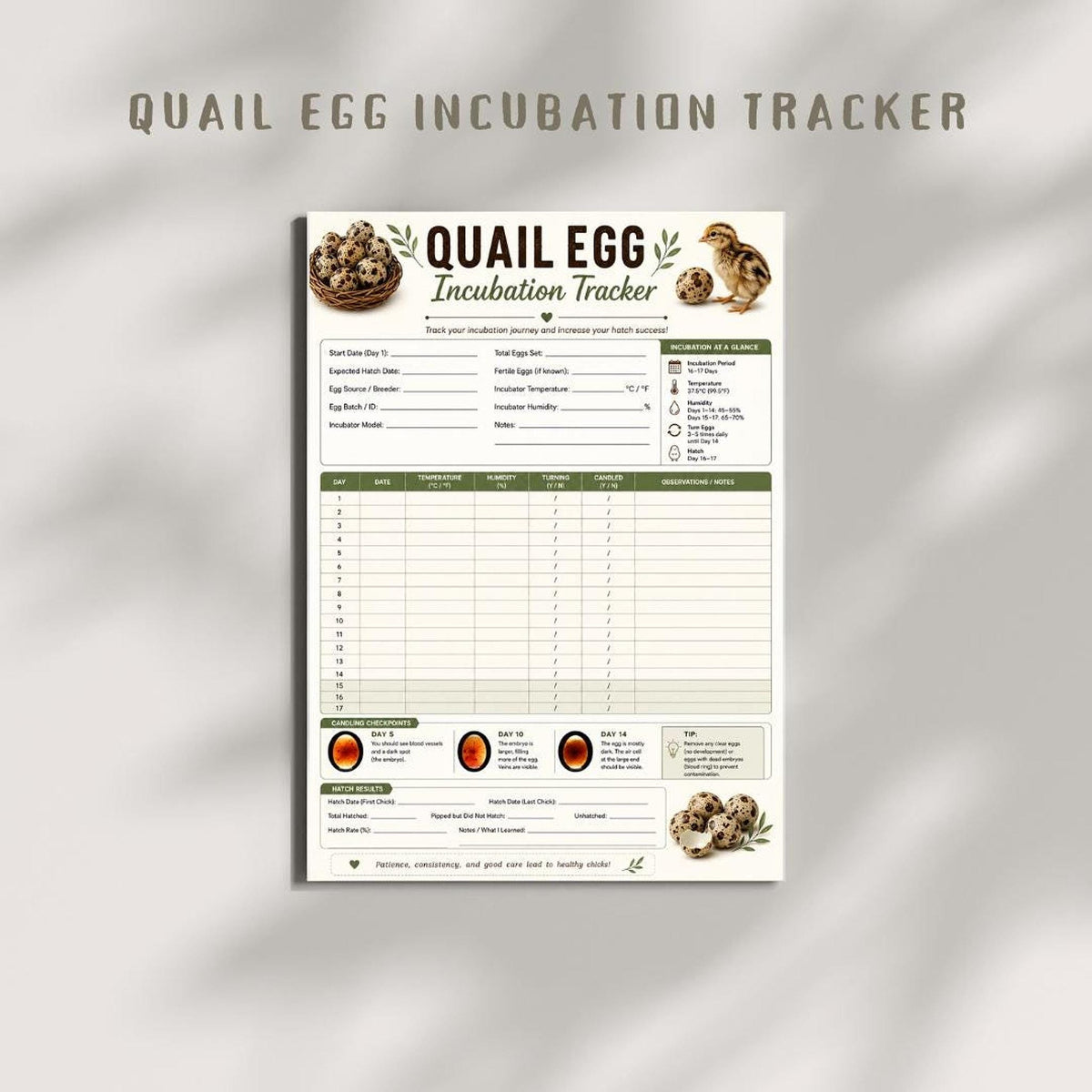 Quail Incubation Guide And Tracker, A4 Printable PDF Bundle