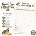 Quail Egg Log, A4 Printable PDF Farm Record Sheet