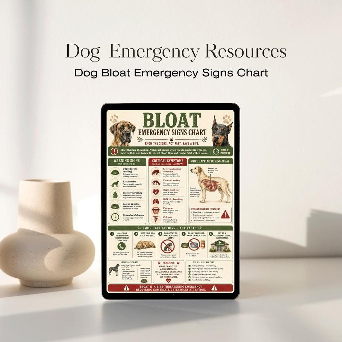 Dog Emergency Guide, 10 Printable First Aid Charts PDF