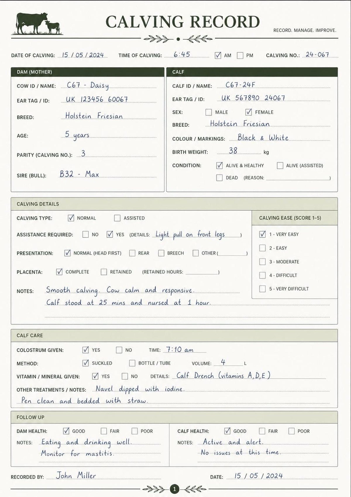 Calving Record Printable PDF, A4 & US Letter Cow Book