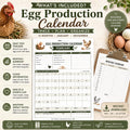 Chicken Egg Production Log | 12-Month Flock Planner, Poultry Record Book (PDF)